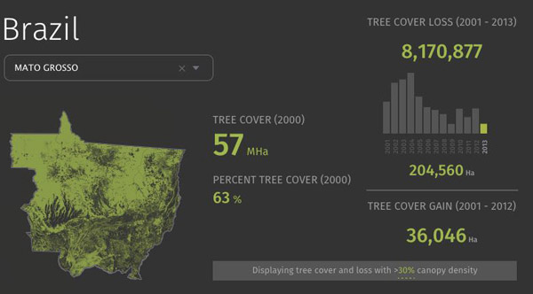 The Amazonian states of Para and Mato Grosso together account for 70% of Brazil’s timber production. Image Source: Global Forest Watch. 