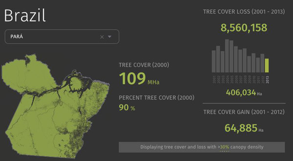 The Amazonian states of Para and Mato Grosso together account for 70% of Brazil’s timber production. Image Source: Global Forest Watch. 