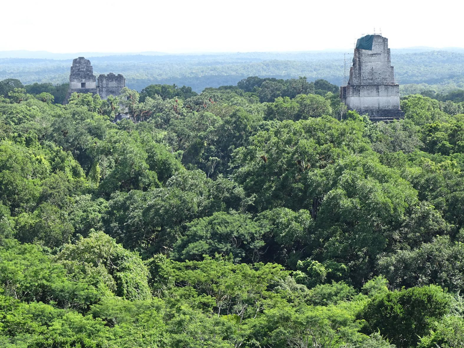 The Peten region of Guatemala contains this UNESCO World Heritage Site. Photo by Adam Jones/Flickr