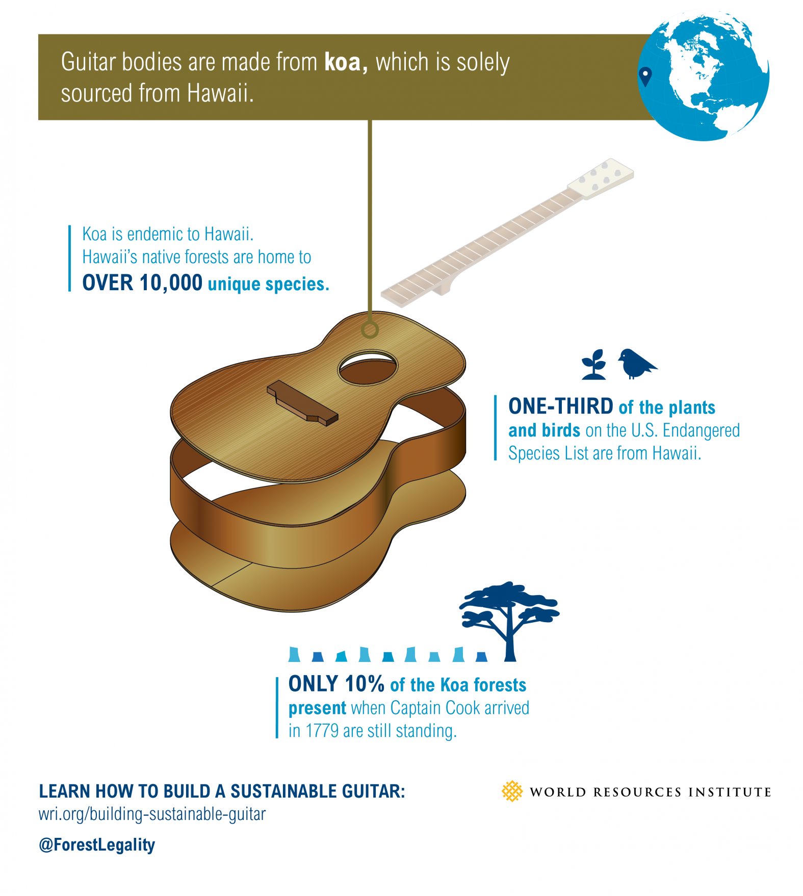 Building a Sustainable Guitar: Koa | FGP