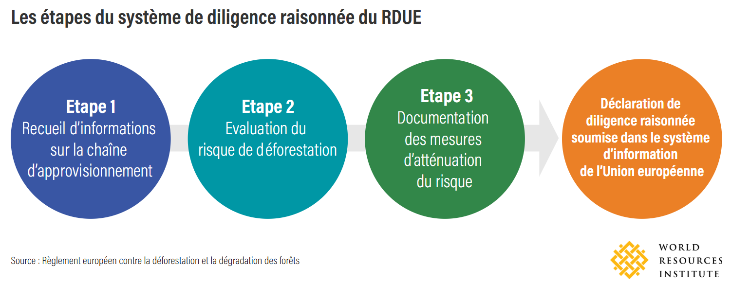 RDUE