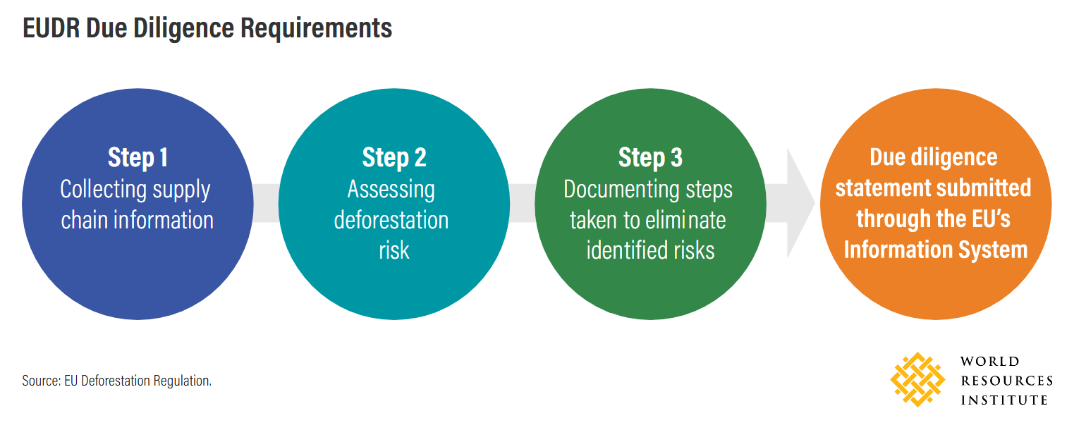 EUDR Due Diligence Requirements
