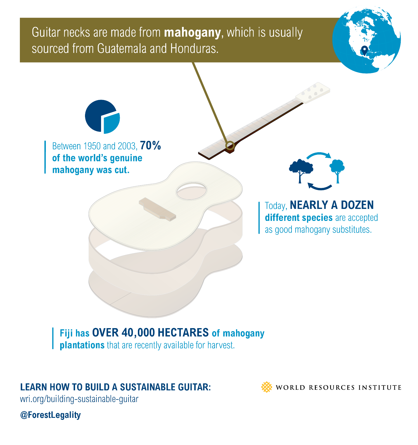 Building a sustainable guitar: mahogany