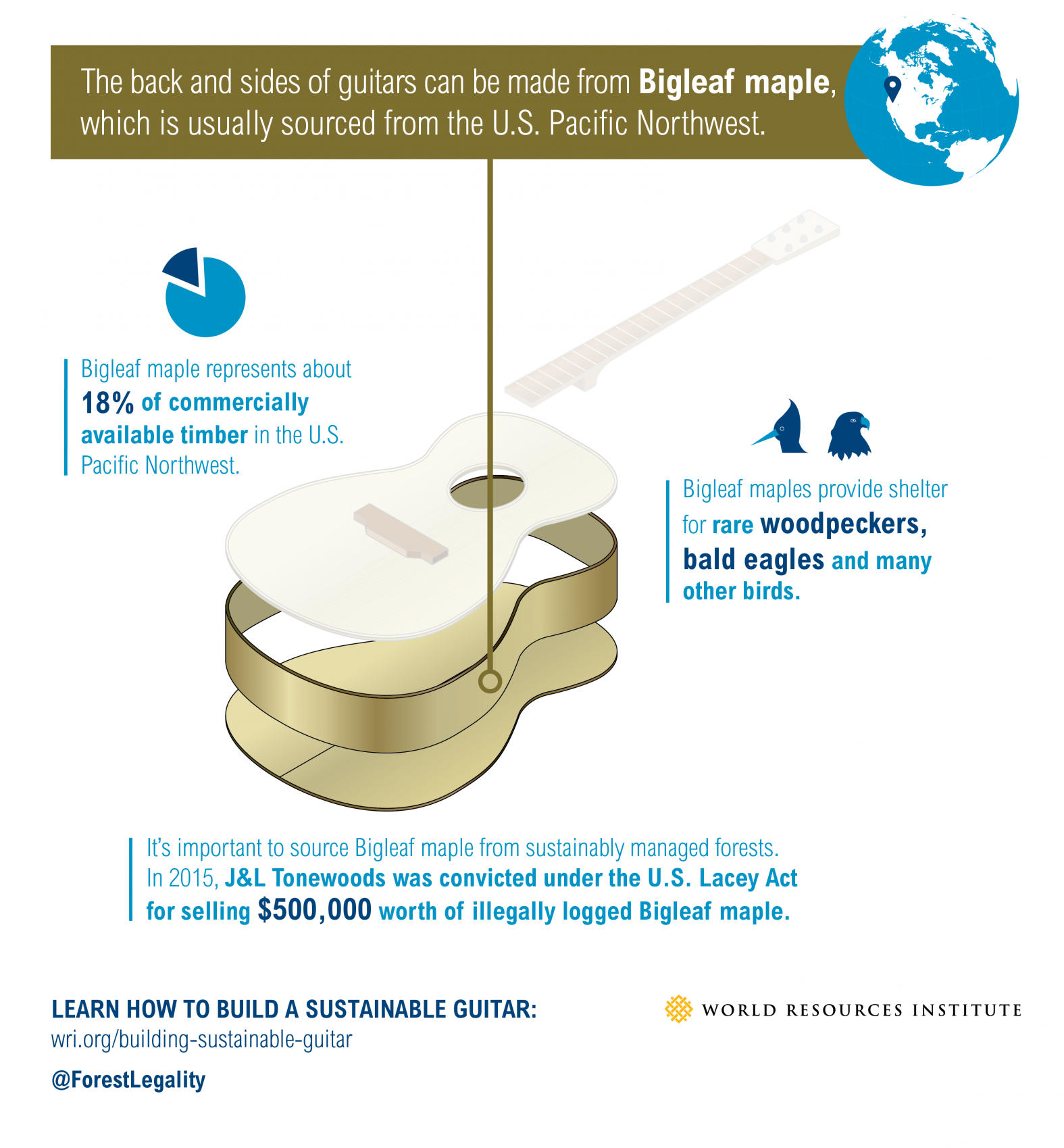 Building a sustainable guitar: maple